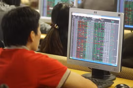 VN Index falls after previous rally
