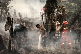 Indonesia strengthens forest fires monitoring in Kalimantan