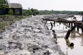 Sea dike development project gets green light in Ca Mau