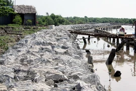 Sea dike development project gets green light in Ca Mau