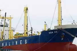 PM outlines State divestment of Vinalines