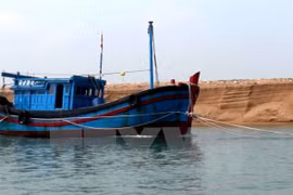Vietnam moves to protect nationals abroad