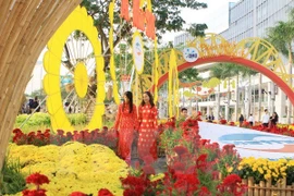 HCM City to welcome New Year with spring flower festival 