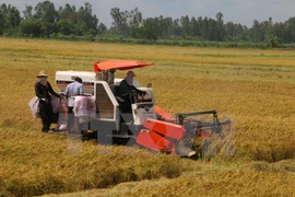 Conference enhances support for farmers