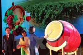 Grapes and Wine Festival opens in Ninh Thuan