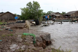 WB evaluates environmental project in central coastal cities 