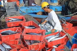 Seafood catches reach 2 million tonnes in eight months 