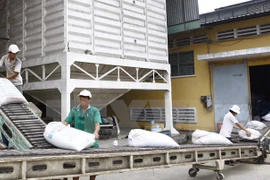 Workshop boosts rice export