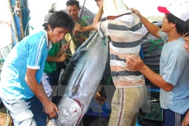 Agro-forestry-fishery export picks up 5.5 percent