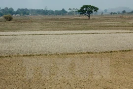 Central State budget supports drought-hit localities