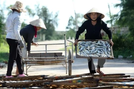 Central localities work on Formosa’s fish death compensation 