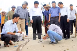 Deputy Minister: cause of unusual fish deaths to be announced