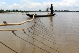 Fishermen switch jobs as Mekong Delta dries up