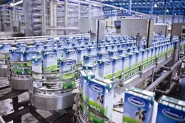 Vinamilk's profit rises 28 percent