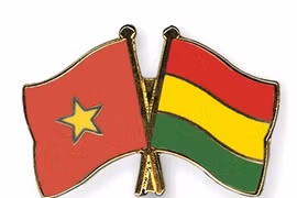 Vietnamese official on working visit to Bolivia
