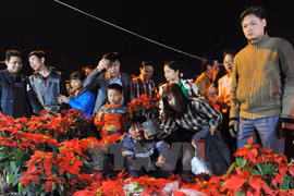 Crowds gather at Vieng Market in Nam Dinh