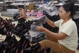 SMEs to get incentives to set up support firms