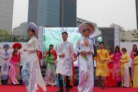 Festival introduces Vietnamese culture in RoK 