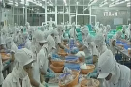 China likely to become Vietnam’s largest tra fish market