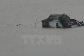 Quang Binh submerged in water, again