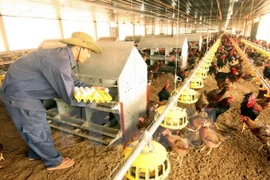 Zoonotic diseases put under control nationwide 