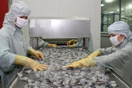 Safe shrimp production chain for export to be supervised