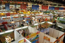 Vietnam-Laos investment cooperation thrives 