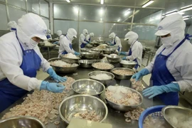 Vietnam’s exports to Mexico rise fast