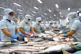 China becomes Vietnam’s second biggest tra fish market 