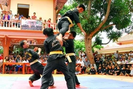 World Vietnamese martial arts in HCM City