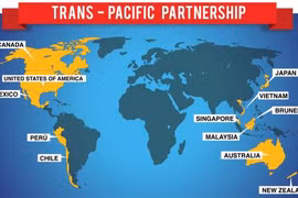Vietnam-Mexico trade to benefit from TPP 