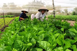 Conference seeks ways to build trademarks for farm produce