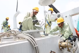 EVN to add 22 power projects to rural programme