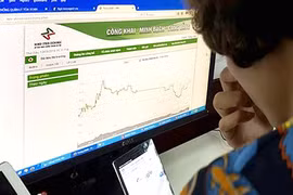 VN stocks mixed, energy rising