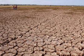 Severe drought hit Mekong Delta region