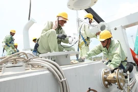 EVN to add 22 power projects to rural programme