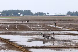 Vietnam pays due heed to sustainable development 