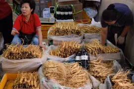Vietnamese, RoK businesses seek to boost agri-product trading