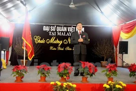 Overseas Vietnamese welcome Lunar New Year 