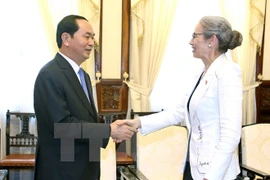 Vietnam wants to boost ties with Netherlands: President 