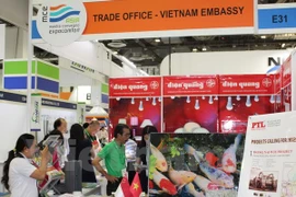 Vietnamese firms introduce green construction products in Singapore