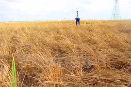 Farming sector moves to regain growth amid climate change