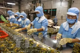 Vietnam, EU firms seek to boost farm produce export