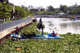 HCM City cracks down on pollution 