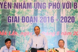 Government declares closing of natural forests 
