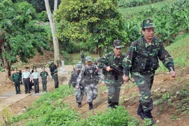 Vietnam-China land border committee convenes sixth meeting