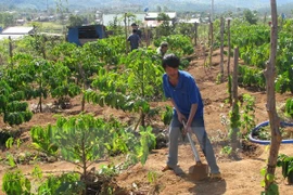 Disadvantaged communes to receive aid from government