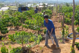 Disadvantaged communes to receive aid from government