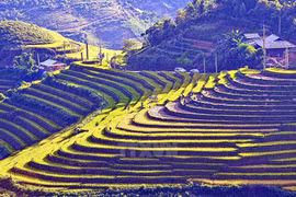 Northwest provinces prepare for national tourism year 