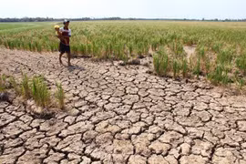 Cambodia launches water distribution campaign to drought –hit people